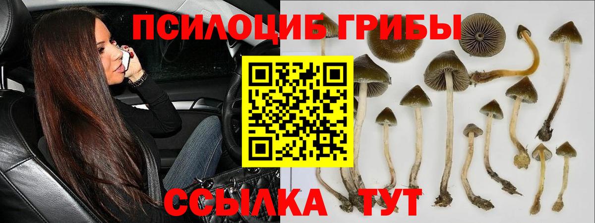 Дубна  Галлюциногенные грибы ЛСД  Псилоцибиновые грибы прущие грибы  Вход с VPN 